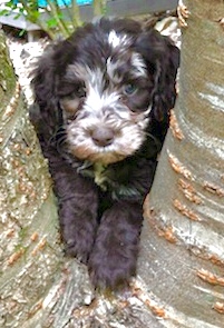 IMG_2123 – available Female
