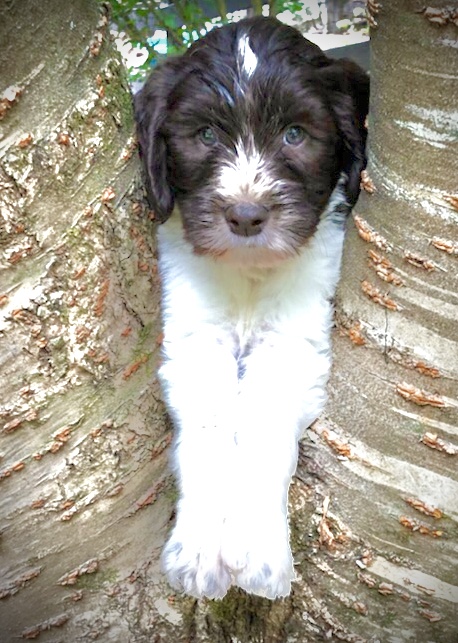 IMG_2126 – Available male
